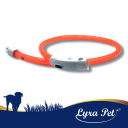 1 pc. Lyra Pet® LED collier 70 cm orange